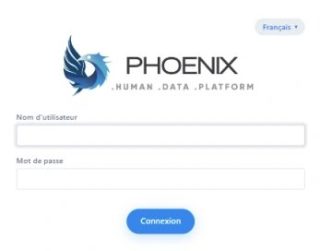 Phoenix Designer : création de workflows, de processus et d'interfaces métier en low-code