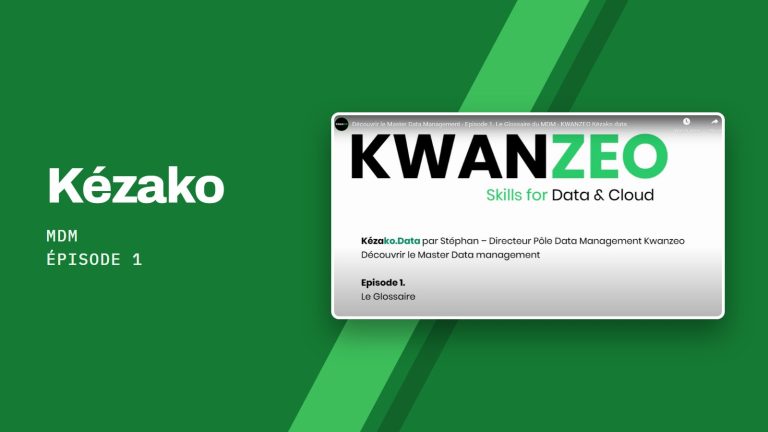 Kézako MDM Épisode 1 : Vignette de la vidéo Kézako.data, épisode 1 : glossaire du Master Data Management