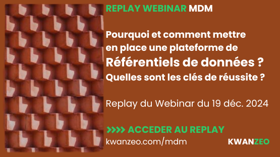 Replay Webinar MDM : Pourquoi et comment mettre en place une plateforme de Master Data Management ?