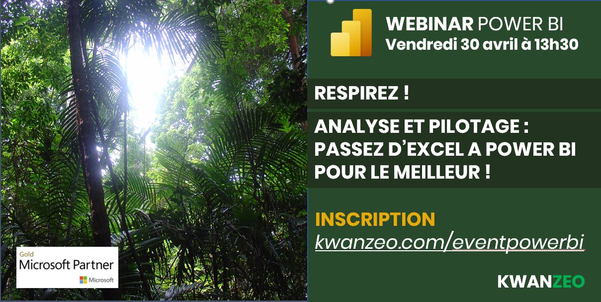 Analyse et pilotage : Passez d'Excel à Power BI pour le meilleur ! Replay du webinar du 30-04-2021